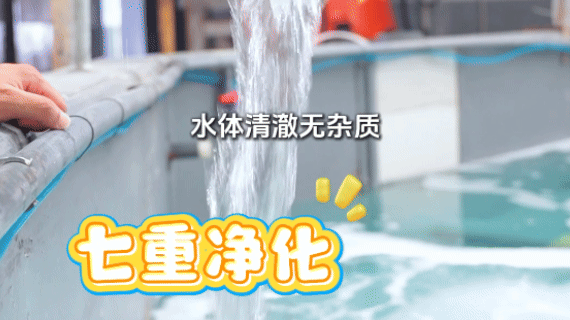 1582901e2b42e9d5717a8b6986d92842.jpg 1582901e2b42e9d5717a8b6986d92842.jpg