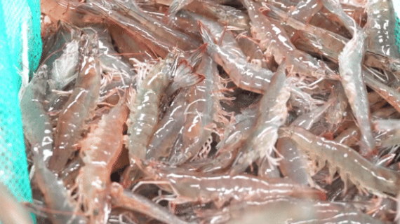 2fe910f5a36bbb87e8340e964a77d3c7.jpg 2fe910f5a36bbb87e8340e964a77d3c7.jpg