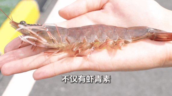 cc62c45007c08d1eb8c60dcec04373dc.jpg cc62c45007c08d1eb8c60dcec04373dc.jpg